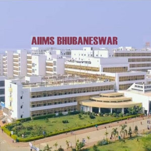 order now mr pizza & shakes (15)