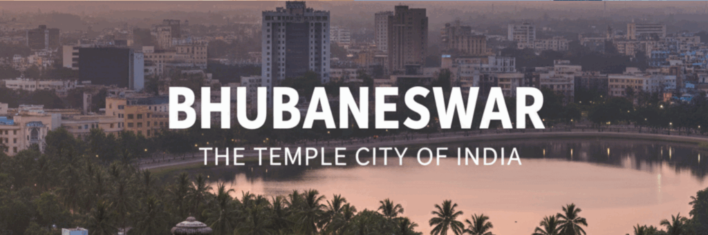 order now mr pizza & shakes (2)