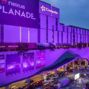 order now mr pizza & shakes (21)