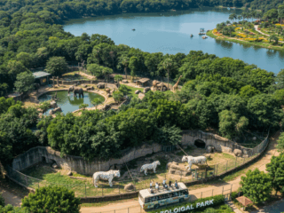 gemini generated image kpl2jrkpl2jrkpl2