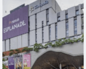 order now mr pizza shakes 7